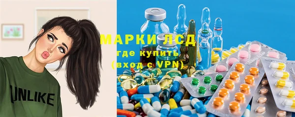 каннабис Новозыбков