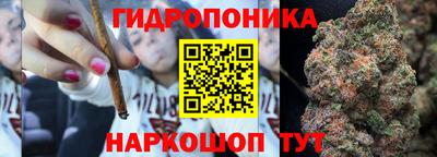 соль ск Гатчина